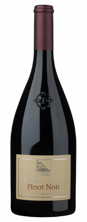 Cantina Terlan — Terlan Pinot Noir